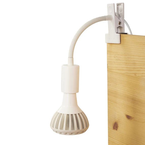 Stelo Gooseneck Clip-On Bulb Holder – White