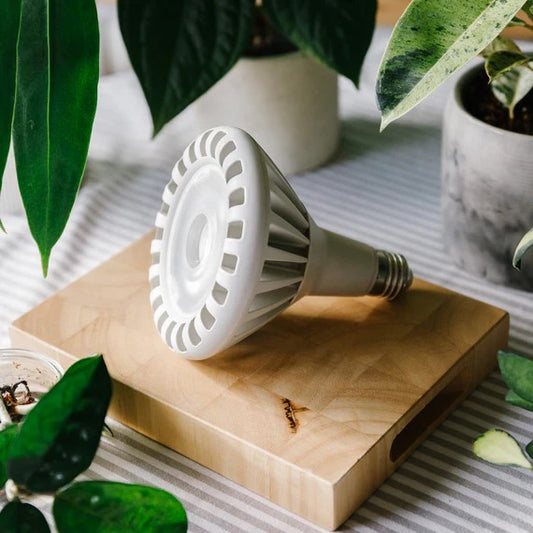 Pianta 30 Grow Light Bulb – White (E27 Screw)