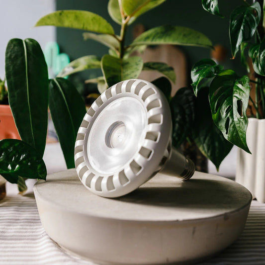 Pianta 30 Grow Light Bulb – White (E27 Screw)