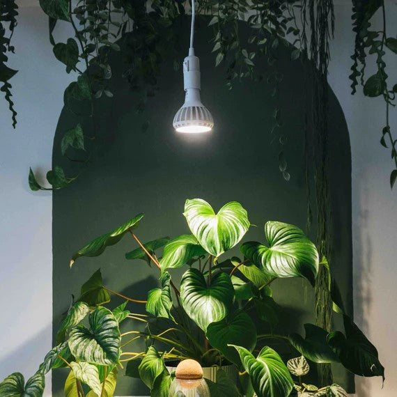 Enna Plug-In Ceiling Pendant – White