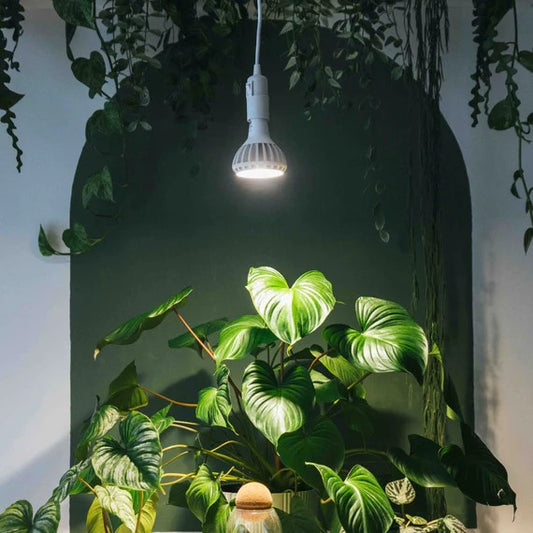 Enna Plug-In Ceiling Pendant – White