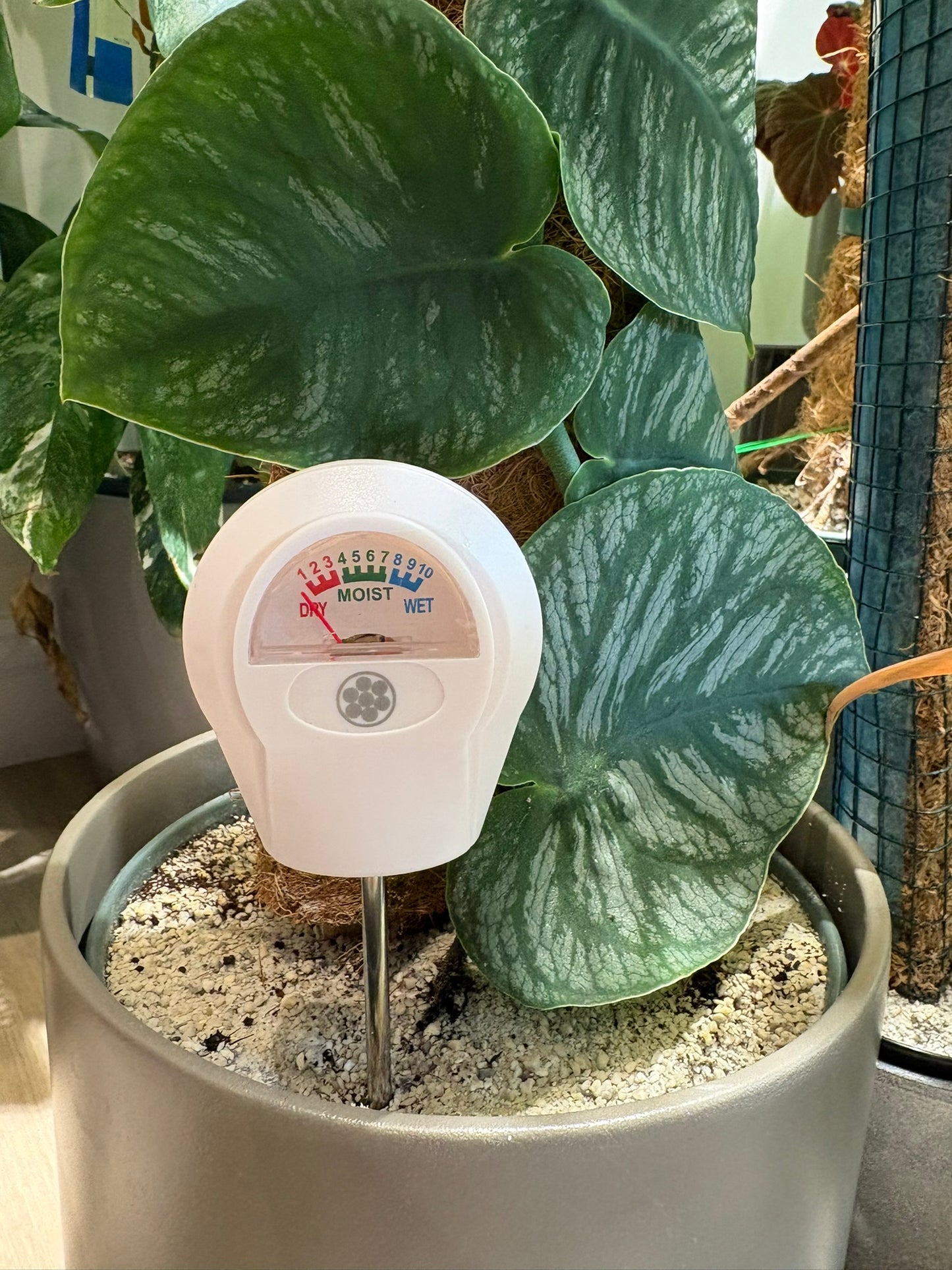 Soil Moisture Meter