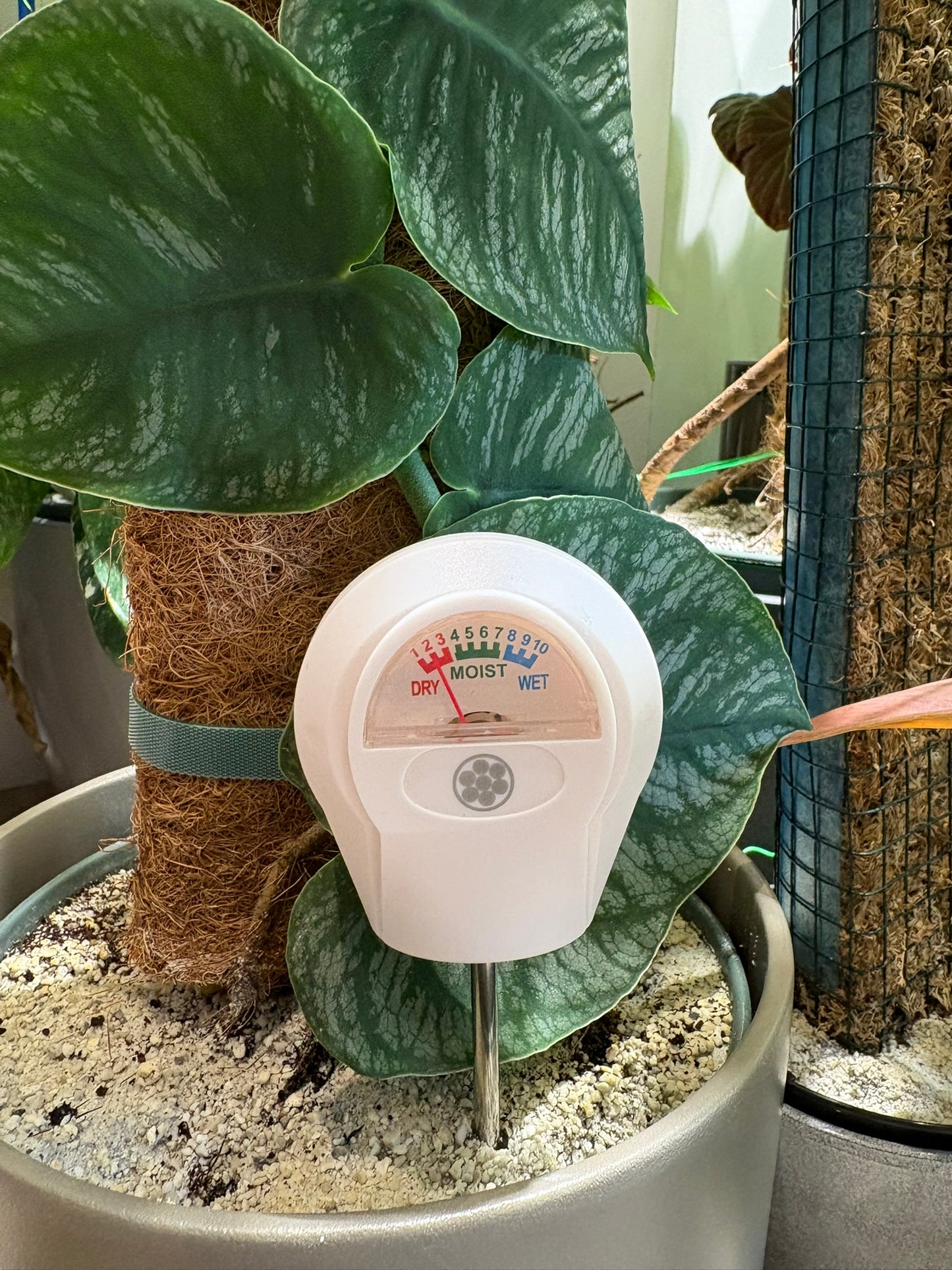 Soil Moisture Meter