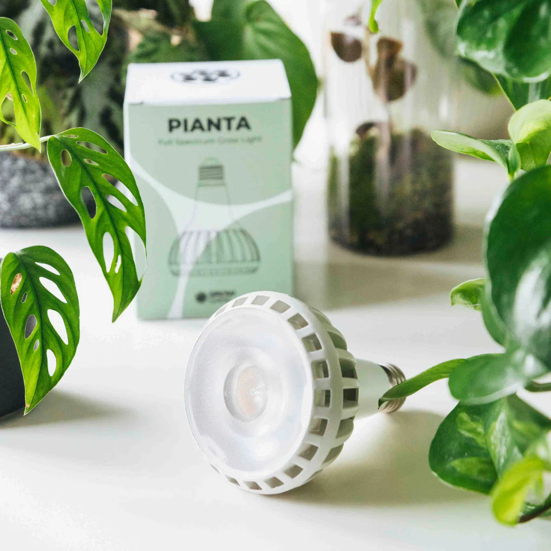 Pianta Grow Light Bulb – White (E27 Screw)