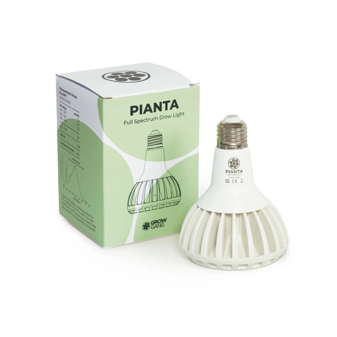 Pianta Grow Light Bulb – White (E27 Screw)