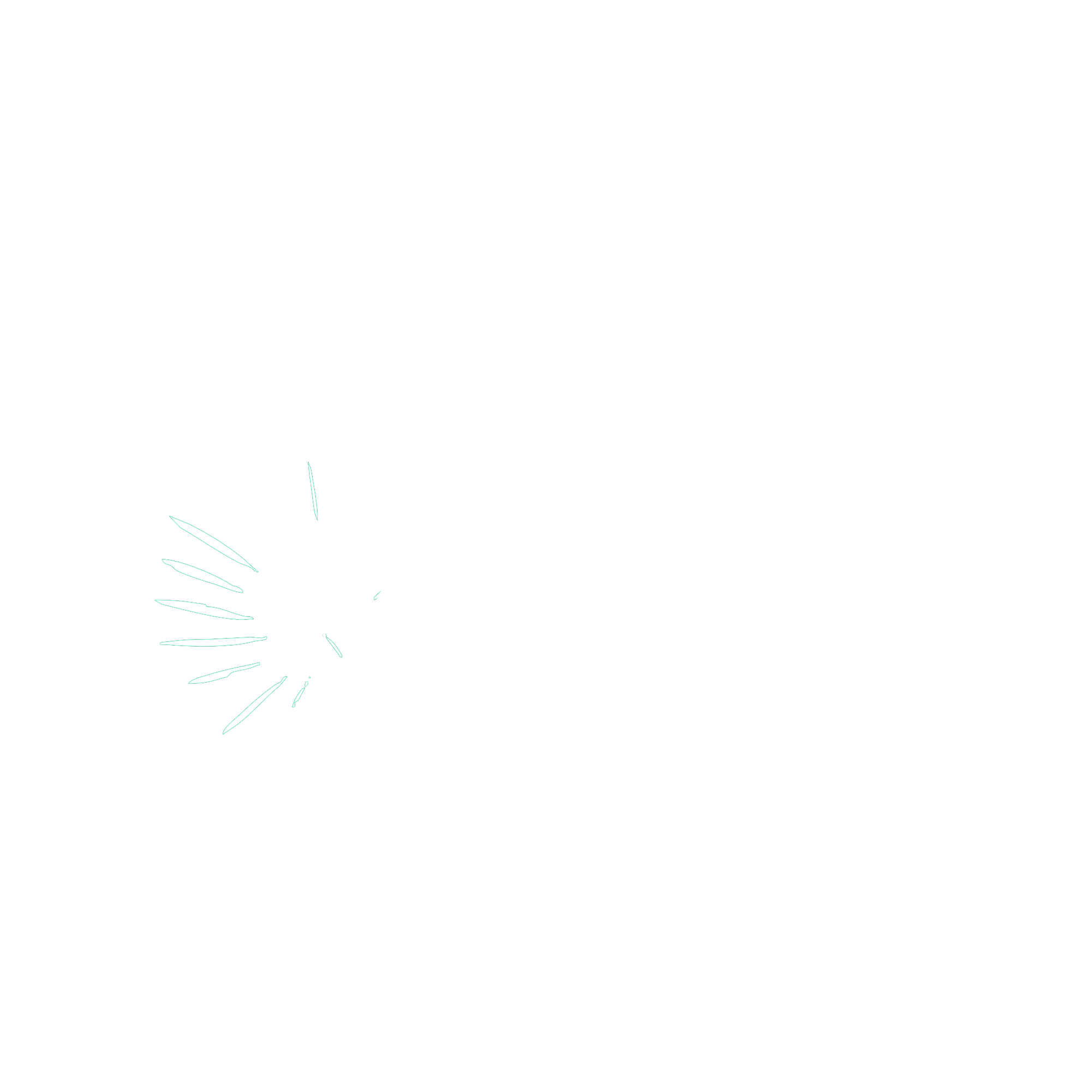 Tropical Plants Boutique 